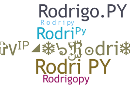 ชื่อเล่น - Rodripy