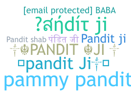ชื่อเล่น - Panditji