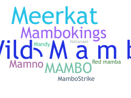 ชื่อเล่น - Mambo