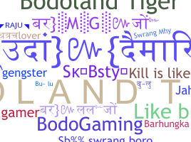 ชื่อเล่น - Bodoland