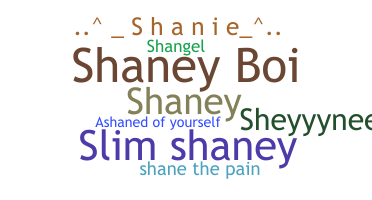 ชื่อเล่น - Shane