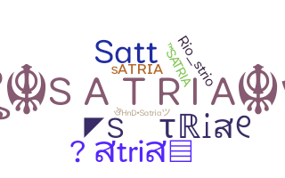 ชื่อเล่น - Satria