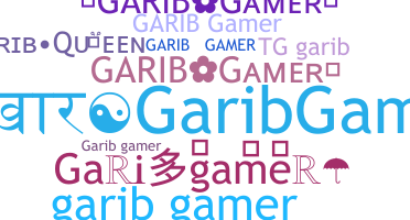 ชื่อเล่น - Garibgamer