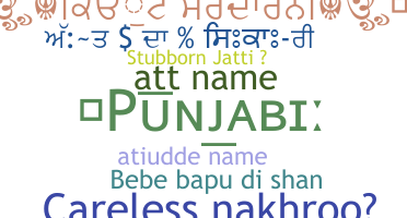 ชื่อเล่น - Punjabi