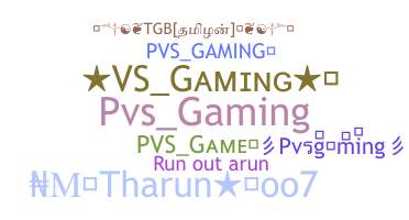 ชื่อเล่น - Pvsgaming