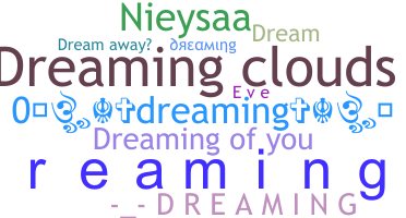 ชื่อเล่น - Dreaming