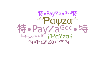 ชื่อเล่น - Payza