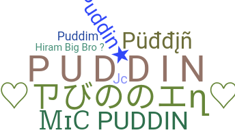 ชื่อเล่น - Puddin