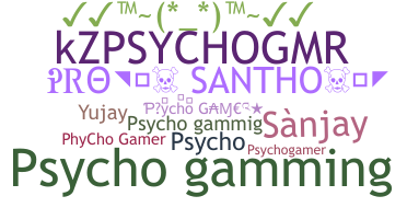 ชื่อเล่น - PsychoGamer