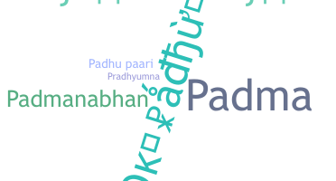 ชื่อเล่น - Padhu