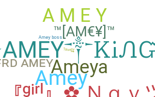 ชื่อเล่น - AmeY