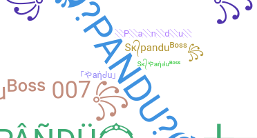 ชื่อเล่น - Pandu