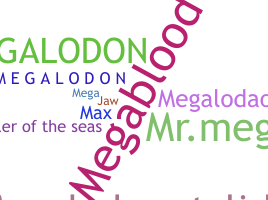 ชื่อเล่น - Megalodon