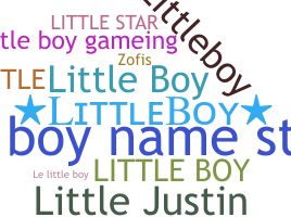 ชื่อเล่น - littleboy