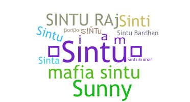 ชื่อเล่น - sintu