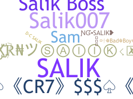 ชื่อเล่น - Salik