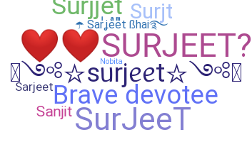 ชื่อเล่น - Surjeet