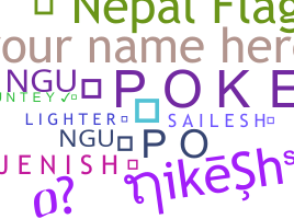 ชื่อเล่น - Nepalflag
