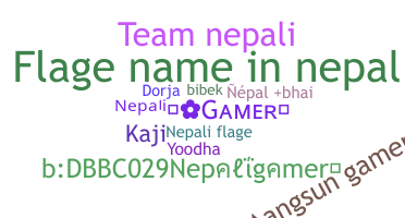 ชื่อเล่น - Nepaligamer