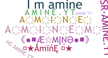 ชื่อเล่น - Amine