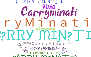 ชื่อเล่น - CarryMinati