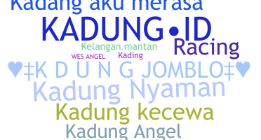 ชื่อเล่น - Kadung