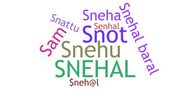 ชื่อเล่น - Snehal