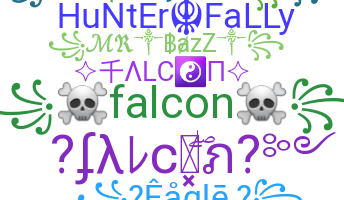 ชื่อเล่น - Falcon