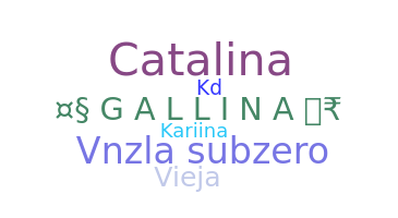 ชื่อเล่น - Gallina