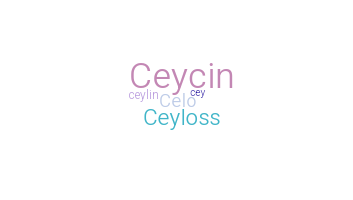 ชื่อเล่น - Ceylin