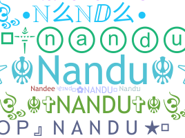 ชื่อเล่น - Nandu