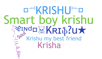 ชื่อเล่น - krishu
