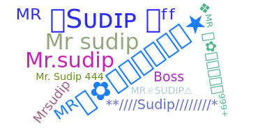 ชื่อเล่น - MRSUDIP