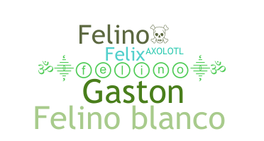 ชื่อเล่น - Felino