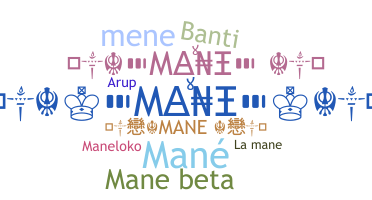 ชื่อเล่น - Mane