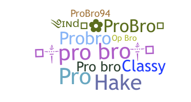 ชื่อเล่น - ProBro