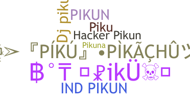 ชื่อเล่น - Pikun