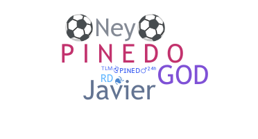 ชื่อเล่น - Pinedo
