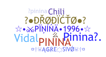 ชื่อเล่น - Pinina