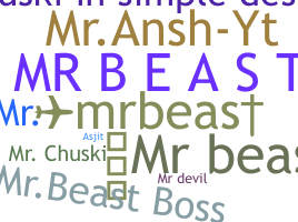 ชื่อเล่น - mr.beast