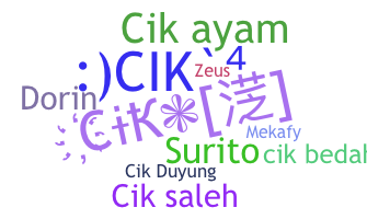 ชื่อเล่น - Cik