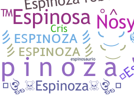 ชื่อเล่น - Espinoza