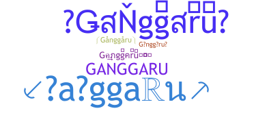 ชื่อเล่น - Ganggaru