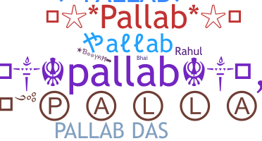 ชื่อเล่น - Pallab