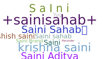ชื่อเล่น - Sainisahab