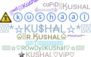 ชื่อเล่น - Kushal