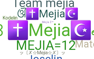 ชื่อเล่น - Mejia