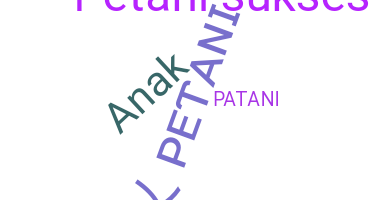 ชื่อเล่น - Petani