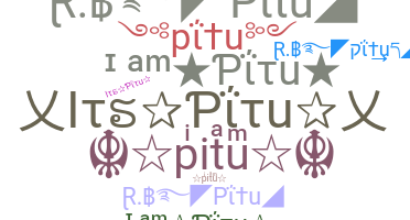 ชื่อเล่น - pitu