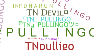ชื่อเล่น - TNpullingo